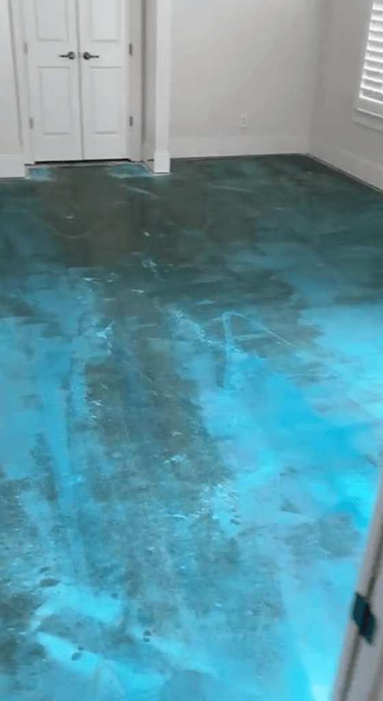 Wakol PU 280 moisture barrier applied to concrete slab — moisture mitigation before engineered hardwood installation